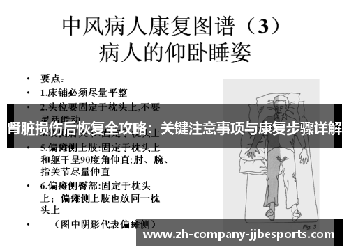 肾脏损伤后恢复全攻略：关键注意事项与康复步骤详解