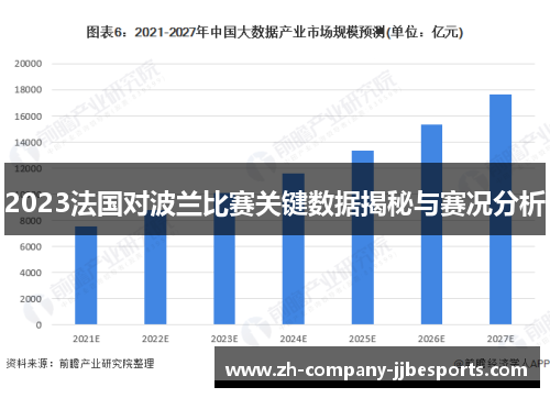 2023法国对波兰比赛关键数据揭秘与赛况分析