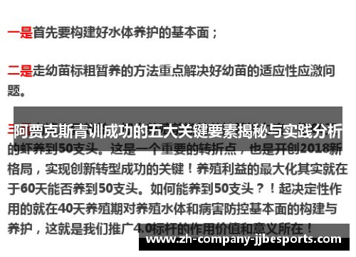阿贾克斯青训成功的五大关键要素揭秘与实践分析