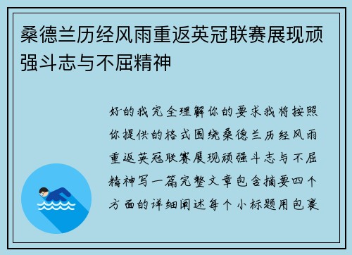 桑德兰历经风雨重返英冠联赛展现顽强斗志与不屈精神