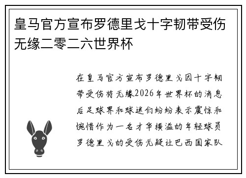皇马官方宣布罗德里戈十字韧带受伤无缘二零二六世界杯